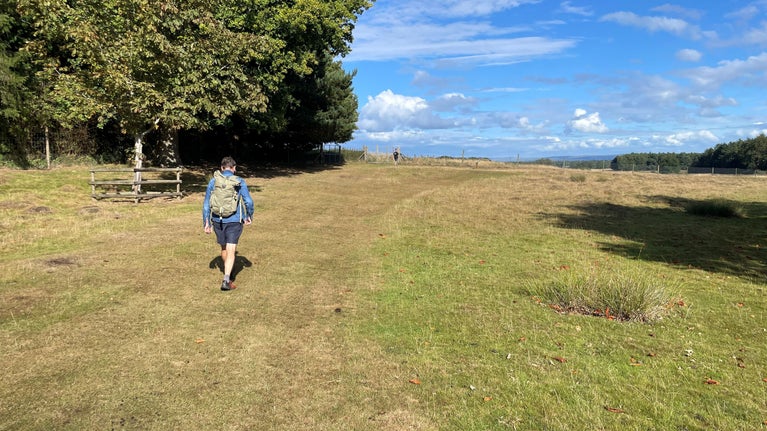 Walker on the Field to Fork Trail, Heading to Board 3, Tatton Park, Cheshire